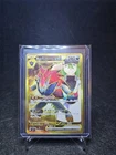 N's Zoroark Ex