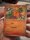 Torchic