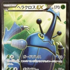 Heracross