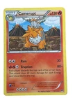 Camerupt
