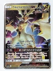 Persian GX
