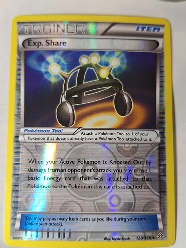 Exp. Share