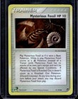 Mysterious Fossil