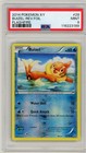 Buizel