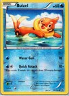 Buizel