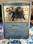 Paldean Tauros