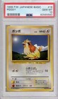 Pidgey
