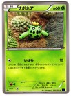 Cacnea