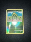 Cacnea