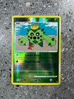 Cacnea