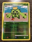 Cacnea