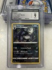 Pangoro