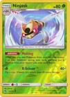 Ninjask