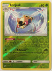 Ninjask
