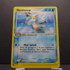 Marshtomp