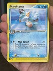 Marshtomp