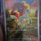 Ponyta