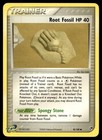 Root Fossil
