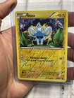 Shinx