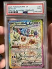 Eevee ex