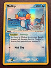 Mudkip