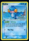 Mudkip