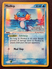 Mudkip