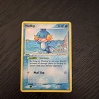 Mudkip