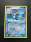Mudkip