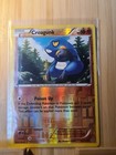 Croagunk