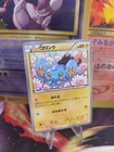 Shinx