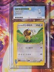 Chuck's Tauros