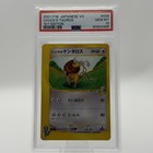 Chuck's Tauros