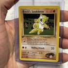 Brock's Sandshrew