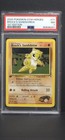 Brock's Sandshrew