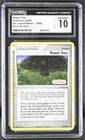 Power Tree