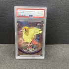 Pidgey