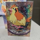 Pidgey