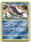 Wailord
