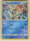 Snorunt