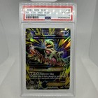 M Tyranitar EX