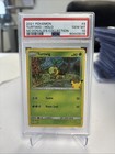 Turtwig