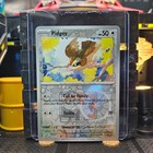 Pidgey