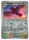 Pidgey