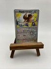 Pidgey