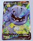 Steelix V
