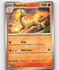 Rapidash