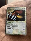 Ursaring