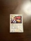 Ursaring