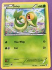 Snivy